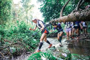 BIB: 
                            <button type="button" onclick="openModal(25457593)" class="btn btn-primary btn-sm float-right btn-popup" data-toggle="modal" data-target=".modal-high-quality">
                        <i class="fas fa-shopping-cart"></i> Add to Cart
                    </button>
                                            <button type="button" onclick="isThisMe(25457593, true)" class="btn btn-success btn-sm float-right btn-popup btn-isme hidden" data-toggle="tooltip" data-placement="bottom" title="นี่คือรูปของคุณใช่ไหม คลิกที่นี่เพื่อเอาเข้าอัลบั้ม">
                        <i class="fas fa-plus"></i> Add to album
                    </button>
                    <button type="button" onclick="isThisMe(25457593, false)" class="btn btn-warning btn-sm float-right btn-popup btn-isnotme hidden">
                        <i class="fas fa-ban"></i> Remove from album
                    </button>